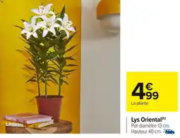 Carrefour Market Lys Oriental offre