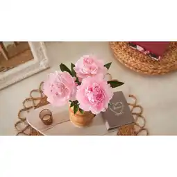 Carrefour Market Bouquet de 3 pivoines offre