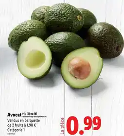 Lidl Avocat offre