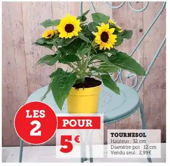 Super U Tournesol offre