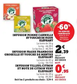 Super U Infusion pomme cannelle et touche de figue elephant offre