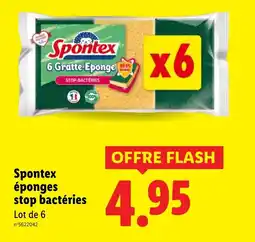 Lidl SPONTEX éponges stop bactéries offre