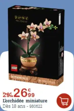 King Jouet L'orchidée miniature offre