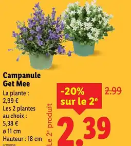 Lidl Campanule Get Mee offre