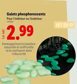 Lidl Galets phosphorescents offre