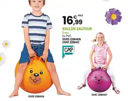 JouéClub Cap Loisirs Ballon sauteur offre