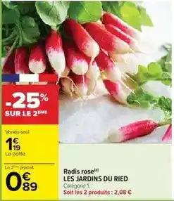 Cora Radis rose offre