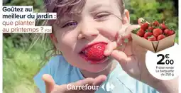 Carrefour Market Carrefour - filets ronde la batteriete offre