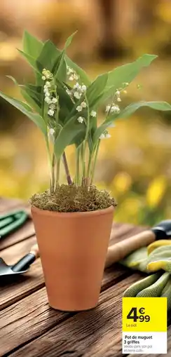 Cora Pot de muguet 3 griffes offre