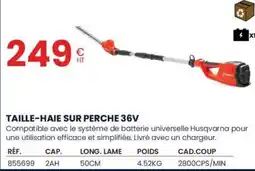 Au Forum du Bâtiment Taille-haie sur perche 36v offre
