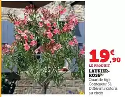 Hyper U Rose offre
