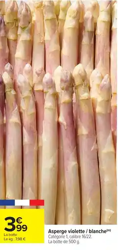 Cora Asperge violette blanche offre