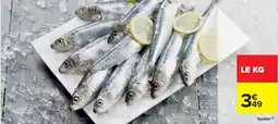 Cora Sardine offre