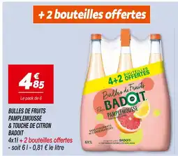 Netto Badoit Bulles de Fruits Pamplemousse & Touche de Citron offre