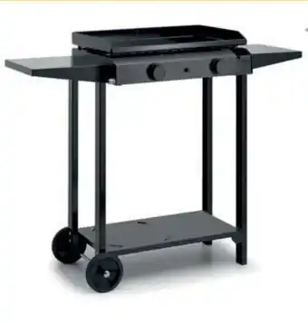 RAGT Jardin & Maison Chariot "base 60" offre