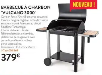 RAGT Jardin & Maison Barbecue à charbon "vulcano 3000" offre