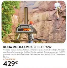 RAGT Jardin & Maison Koda multi-combustibles 12g offre