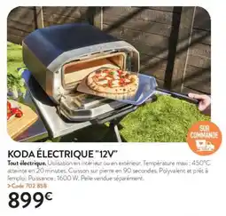 RAGT Jardin & Maison Koda électrique 12v offre