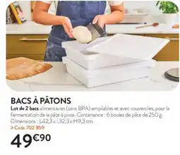 RAGT Jardin & Maison Bacs à pâtons offre