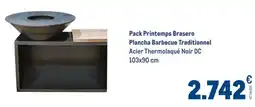 METRO Pack printemps brasero plancha barbecue traditionnel offre