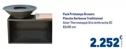 METRO Pack printemps brasero plancha barbecue traditionnel offre