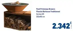 METRO Pack printemps brasero plancha barbecue traditionnel offre