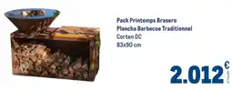METRO Pack printemps brasero plancha barbecue traditionnel offre