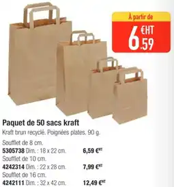 Plein ciel Paquet de 50 sacs kraft offre