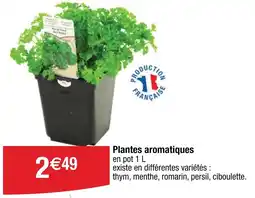 Cora Plantes aromatiques offre