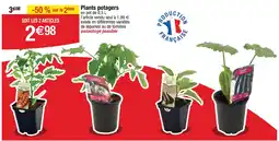 Cora x Carrefour Plants potagers offre