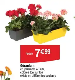 Cora Géranium offre