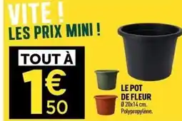 Centrakor Le pot de fleur offre