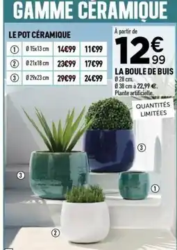 Centrakor La boule de buis offre