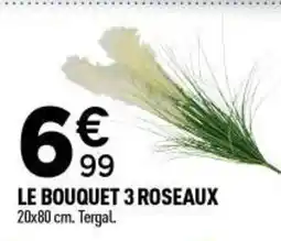 Centrakor Le bouquet 3 roseaux offre