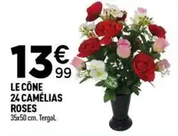 Centrakor Le cône 24 camélias roses offre