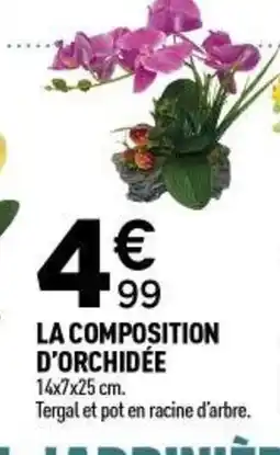 Centrakor La composition d'orchidée offre