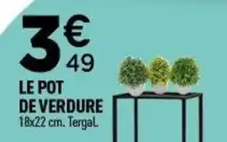 Centrakor Le pot de verdure offre