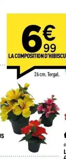 Centrakor La composition d'hibiscus offre