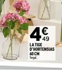 Centrakor La tige d'hortensias offre