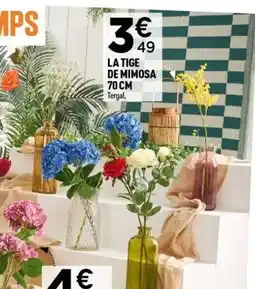 Centrakor La tige de mimosa offre
