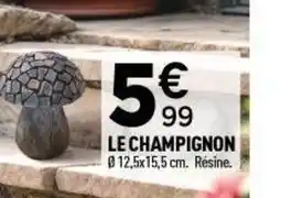Centrakor Le champignon offre