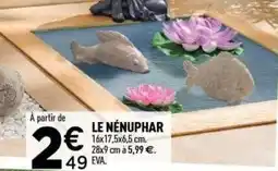 Centrakor Le nénuphar offre