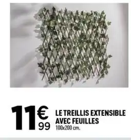 Centrakor Le treillis extensible avec feuilles offre