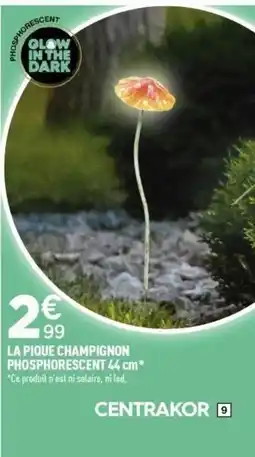 Centrakor La pique champignon phosphorescent offre