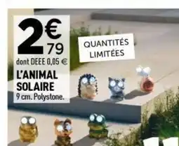 Centrakor L'animal solaire offre