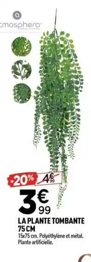 Centrakor La plante tombante offre