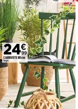 Centrakor La guirlande de lierre offre