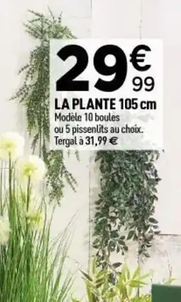 Centrakor La plante offre