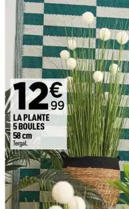 Centrakor La plante 5 boules offre