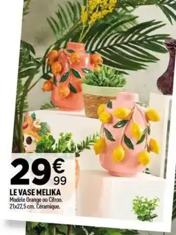 Centrakor Le vase melika offre